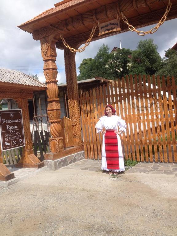Pensiunea Rustic Borşa Εξωτερικό φωτογραφία