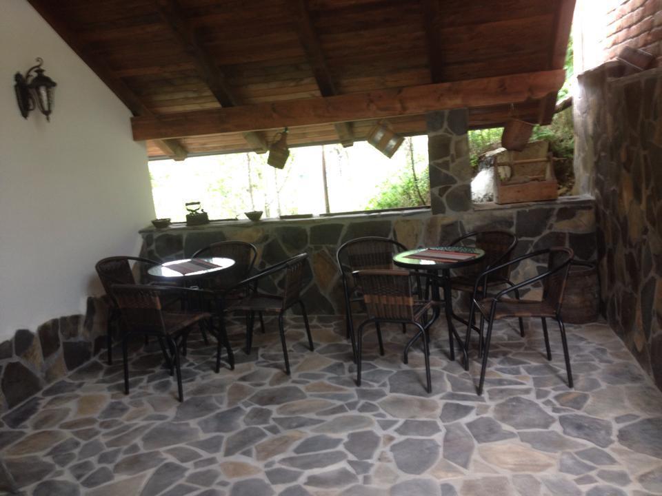 Pensiunea Rustic Borşa Εξωτερικό φωτογραφία