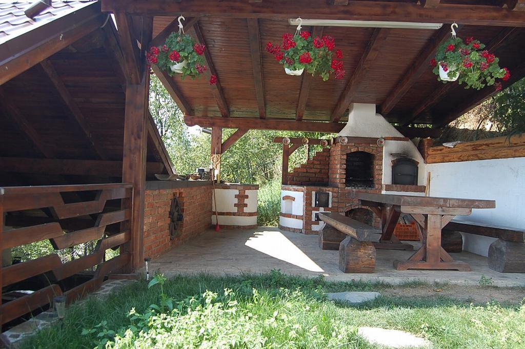 Pensiunea Rustic Borşa Εξωτερικό φωτογραφία