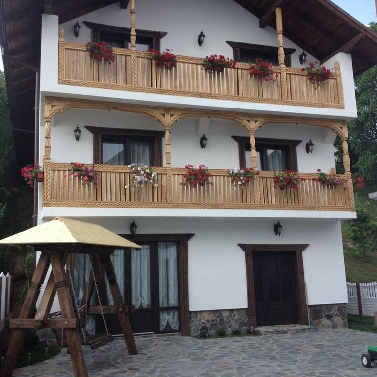 Pensiunea Rustic Borşa Εξωτερικό φωτογραφία