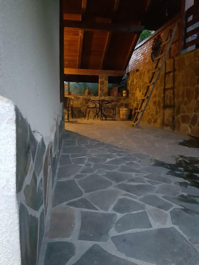 Pensiunea Rustic Borşa Εξωτερικό φωτογραφία
