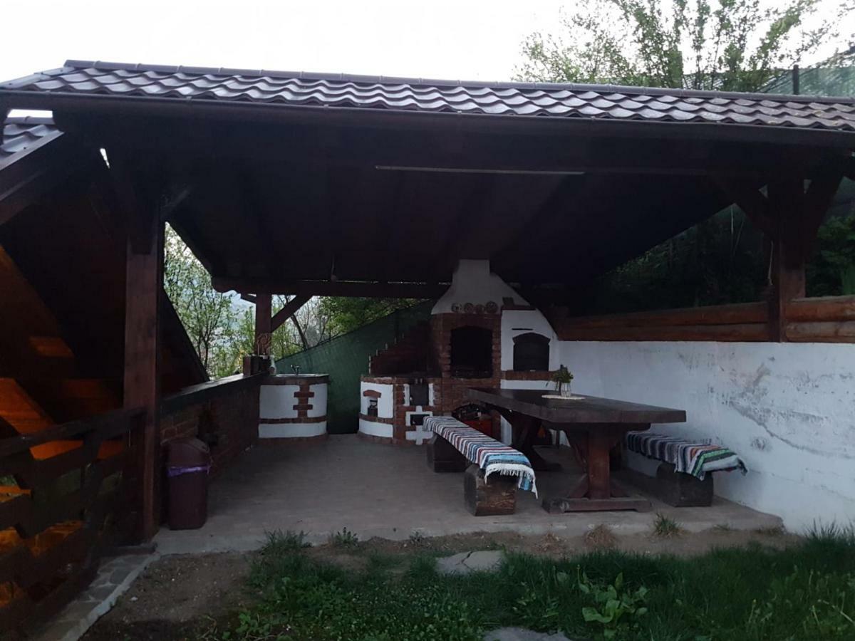 Pensiunea Rustic Borşa Εξωτερικό φωτογραφία